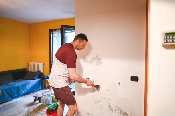 Best Basement Mold Remediation in Albany, TX